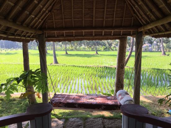 hampi hotel mowgli guest house